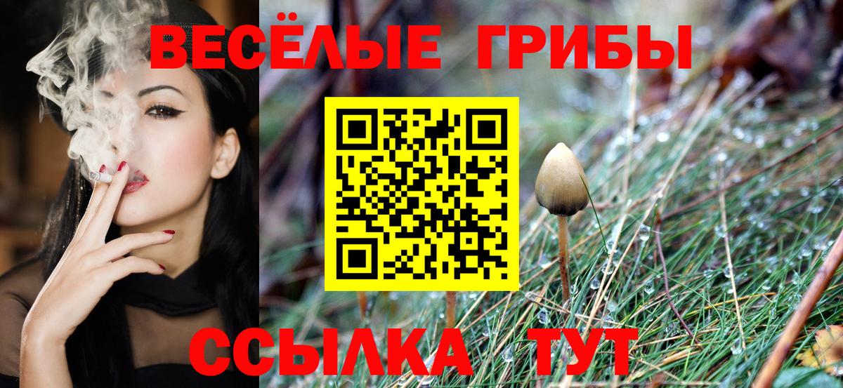 Псилоцибиновые грибы Psilocybine cubensis  Галлюциногенные грибы MAGIC MUSHROOMS  Вход с VPN  Омск 